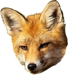 Logo Fuchs